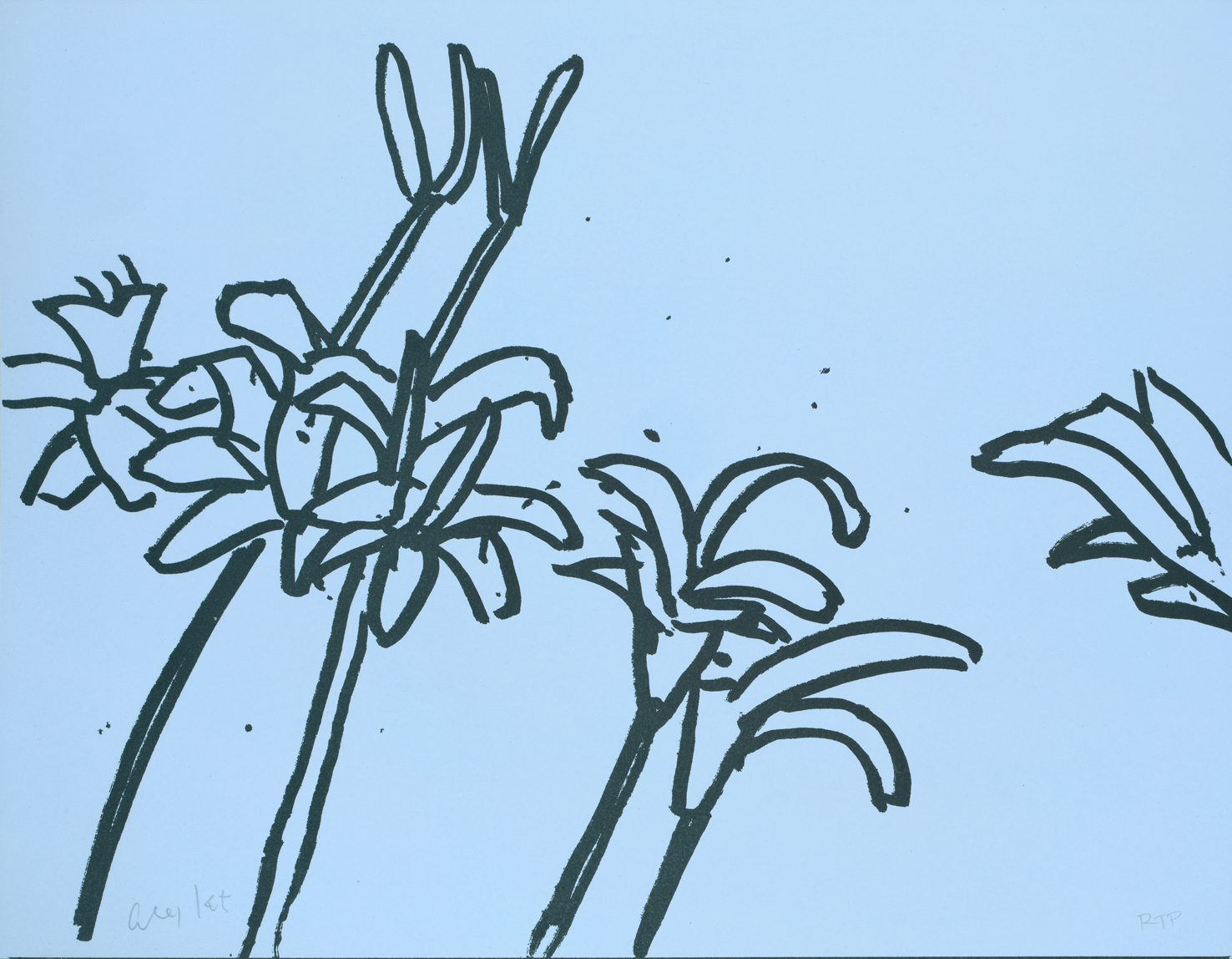 Alex Katz White Lilies | FRANK FLUEGEL GALERIE