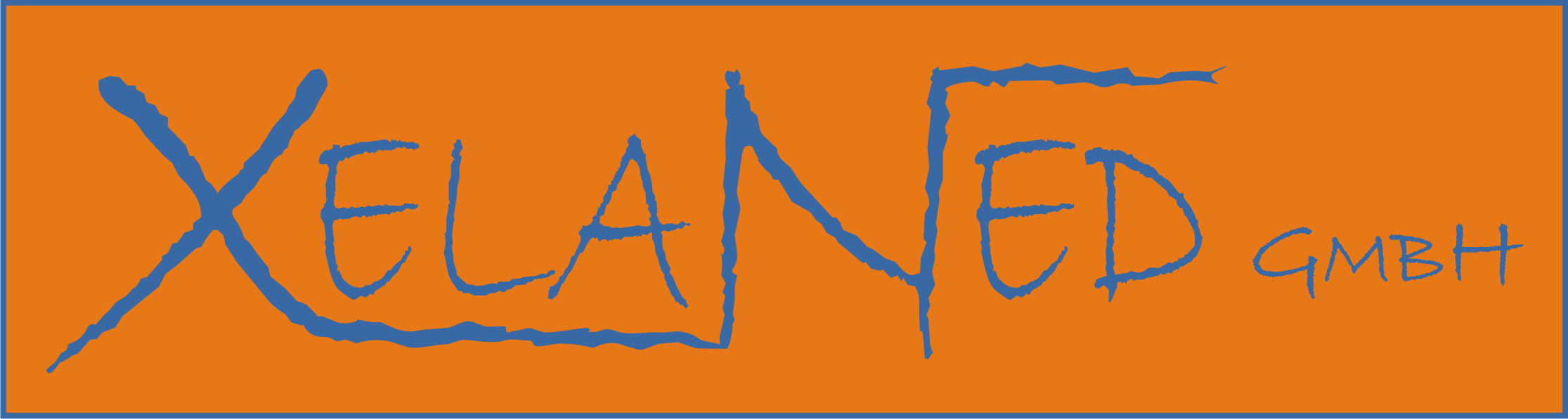 XelaNed Academy