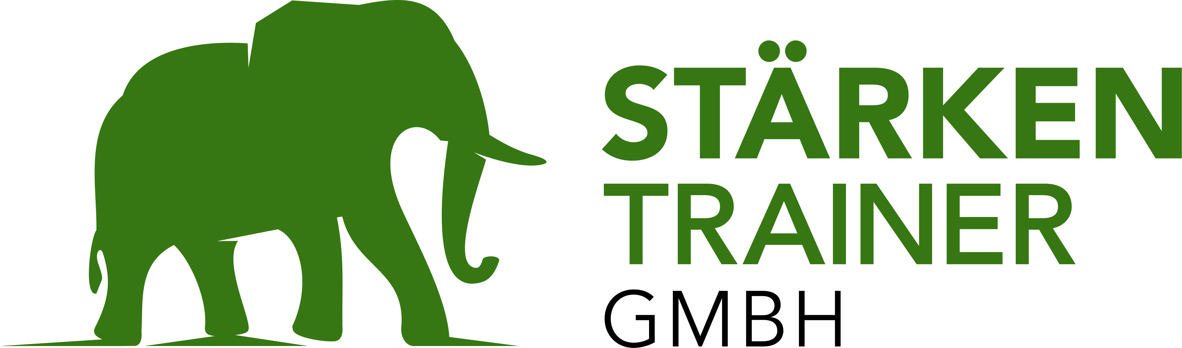 Stärkentrainer GmbH 