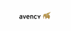 avency GmbH