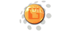 GEBICS GmbH - IT Consulting & Service