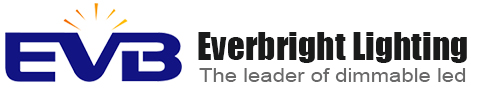 Logo Shenzhen Everbright lighting co.Ltd