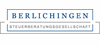 VON BERLICHINGEN & PARTNER